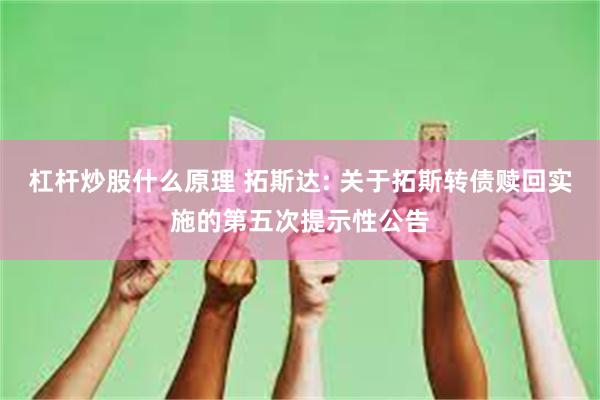 杠杆炒股什么原理 拓斯达: 关于拓斯转债赎回实施的第五次提示性公告