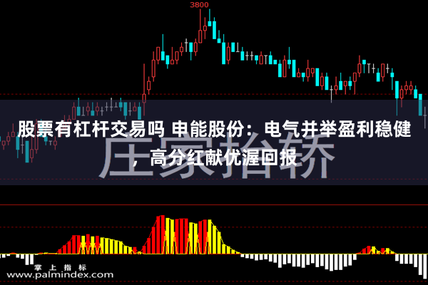 股票有杠杆交易吗 申能股份：电气并举盈利稳健，高分红献优渥回报
