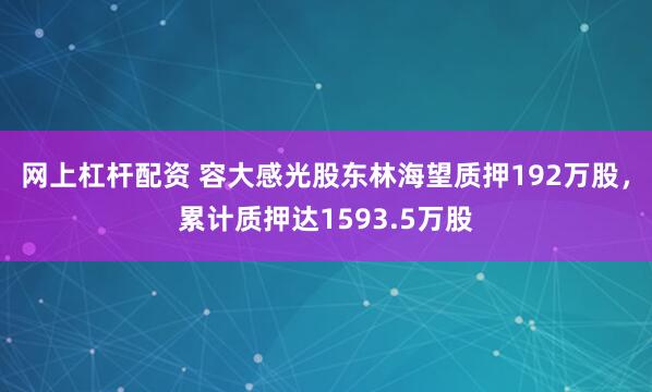 网上杠杆配资 容大感光股东林海望质押192万股，累计质押达1593.5万股