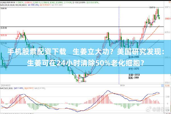 手机股票配资下载   生姜立大功？美国研究发现：生姜可在24小时清除50%老化细胞？