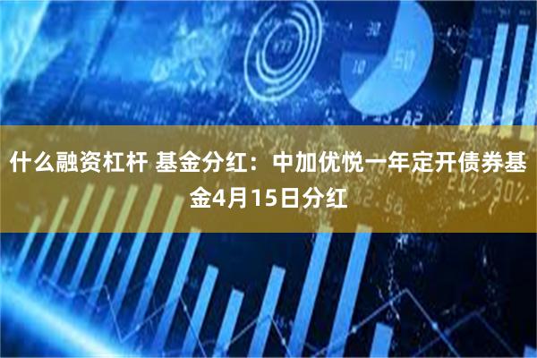 什么融资杠杆 基金分红：中加优悦一年定开债券基金4月15日分红