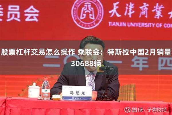 股票杠杆交易怎么操作 乘联会：特斯拉中国2月销量30688辆