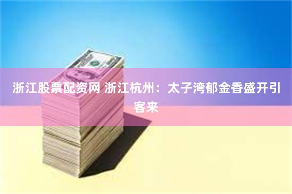 浙江股票配资网 浙江杭州：太子湾郁金香盛开引客来