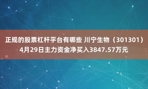 正规的股票杠杆平台有哪些 川宁生物（301301）4月29日主力资金净买入3847.57万元