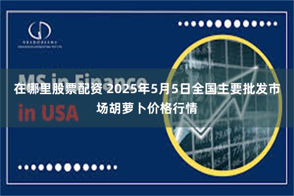 在哪里股票配资 2025年5月5日全国主要批发市场胡萝卜价格行情