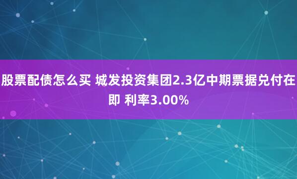 股票配债怎么买 城发投资集团2.3亿中期票据兑付在即 利率3.00%