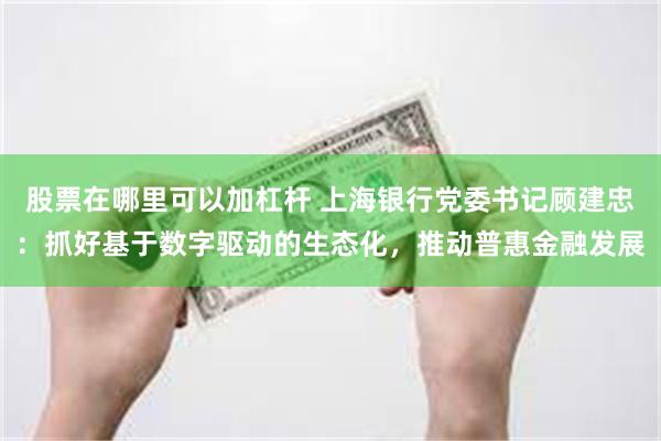 股票在哪里可以加杠杆 上海银行党委书记顾建忠：抓好基于数字驱动的生态化，推动普惠金融发展