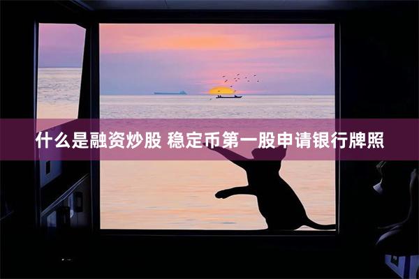 什么是融资炒股 稳定币第一股申请银行牌照