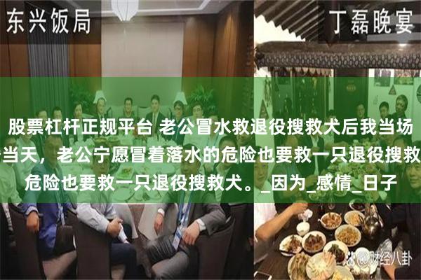 股票杠杆正规平台 老公冒水救退役搜救犬后我当场退婚 江雁沈时言 结婚当天，老公宁愿冒着落水的危险也要救一只退役搜救犬。_因为_感情_日子
