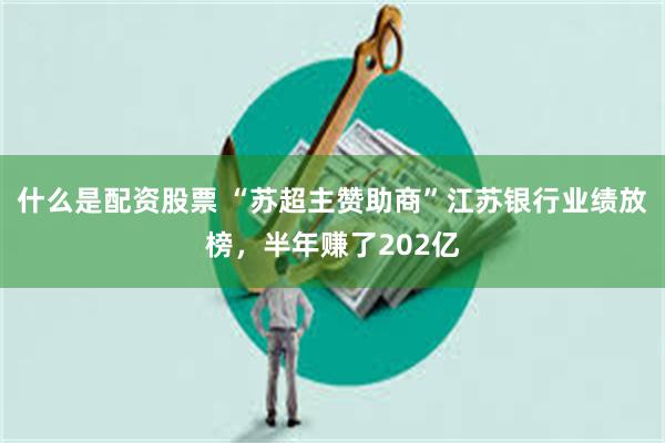 什么是配资股票 “苏超主赞助商”江苏银行业绩放榜，半年赚了202亿
