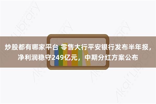 炒股都有哪家平台 零售大行平安银行发布半年报，净利润稳守249亿元，中期分红方案公布