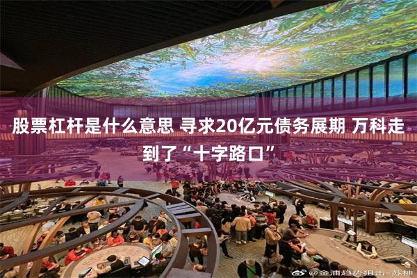 股票杠杆是什么意思 寻求20亿元债务展期 万科走到了“十字路口”