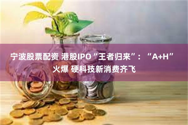 宁波股票配资 港股IPO“王者归来”：“A+H” 火爆 硬科技新消费齐飞